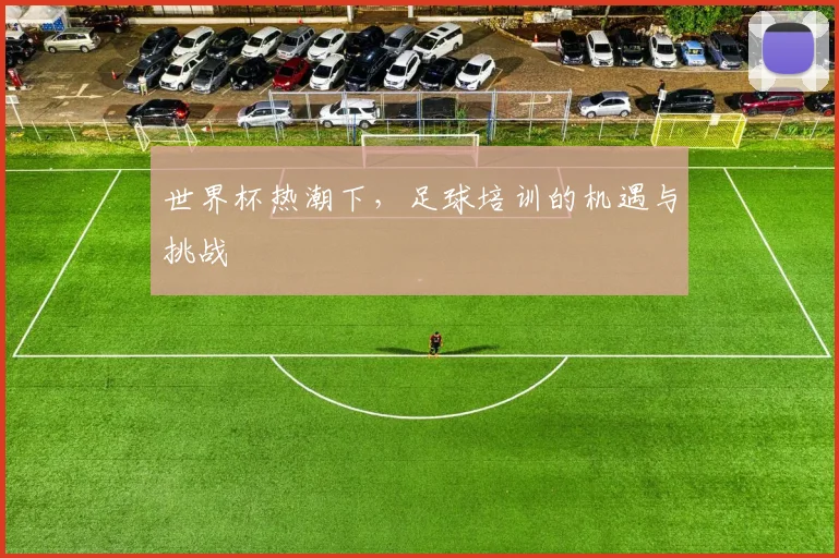 世界杯热潮下,足球培训的机遇与挑战