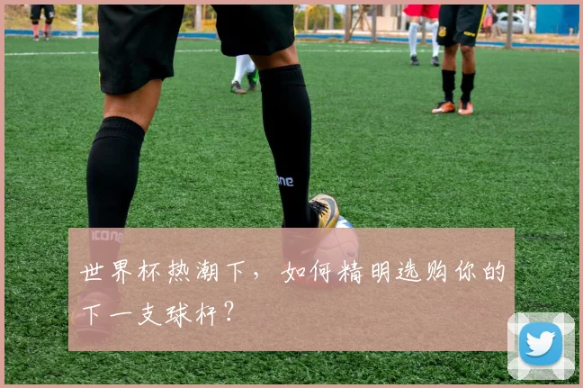 世界杯热潮下,如何精明选购你的下一支球杆?