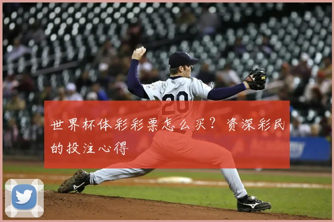 世界杯体彩彩票怎么买?资深彩民的投注心得
