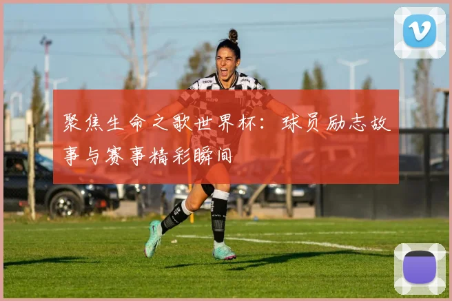 聚焦生命之歌世界杯：球员励志故事与赛事精彩瞬间