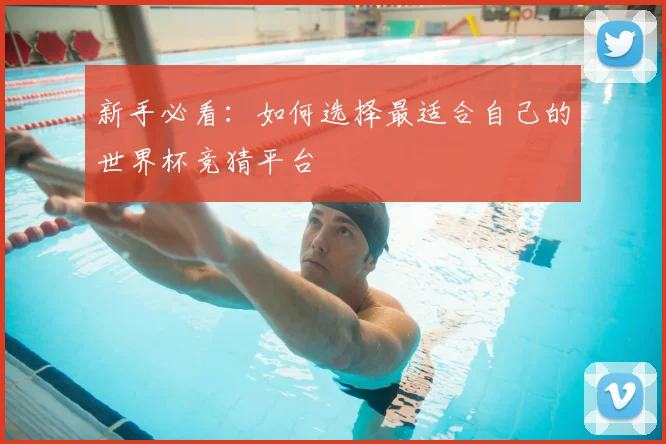 新手必看：如何选择最适合自己的世界杯竞猜平台