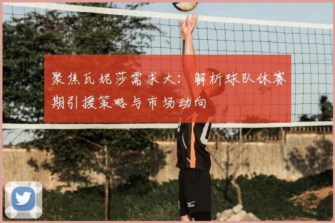 聚焦瓦妮莎需求大：解析球队休赛期引援策略与市场动向