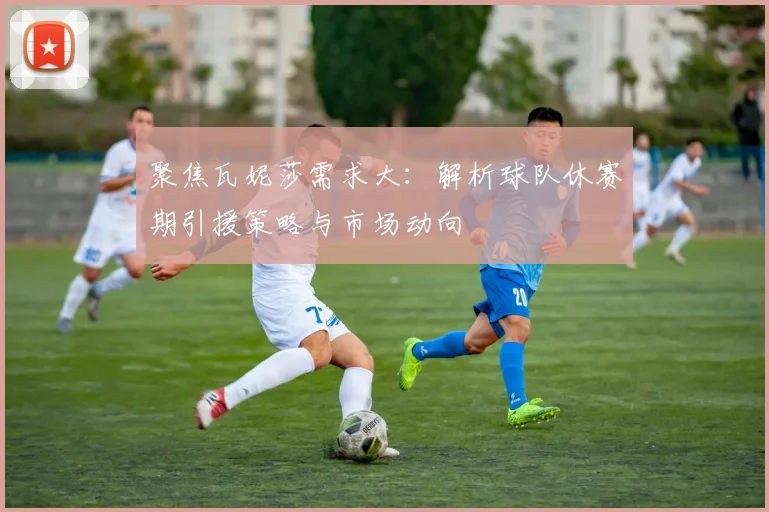 聚焦瓦妮莎需求大：解析球队休赛期引援策略与市场动向